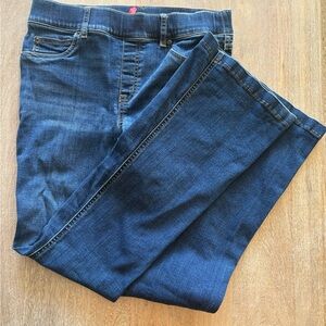 SPANX Red and Blue Denim Detail
